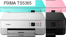 Canon PIXMA TS5365 印表機和掃描器驅動程式