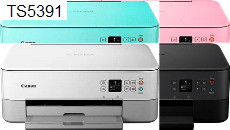 Canon PIXMA TS5391 印表機和掃描器驅動程式